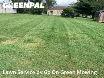 Lawn Mow nearby Salem, VA, 