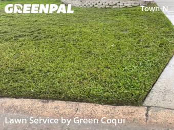 Lawn Mow nearby Tampa, FL, 