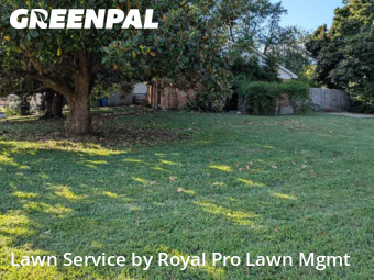 Yard Upkeep in Olive Branch, 38654, Lawn Care by Royal Pro Lawn Mgmt, work completed in Nov , 2025