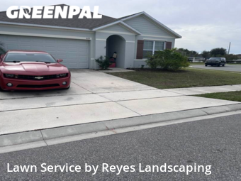 Grass Cut nearby Loughman, FL, 