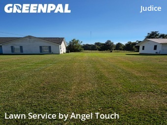 Lawn Cut nearby Duson, LA, 
