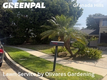 Work completed by affordable-lawn-services-in in Los Angeles, CA