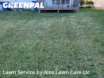 Grass Cutting nearby Indianapolis, IN, 