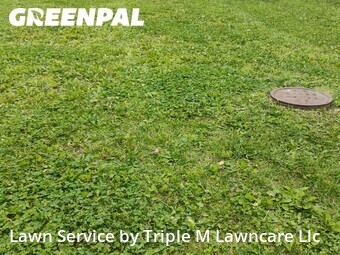 Lawn Care nearby Independence, MO, 