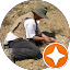 Vic's Lawnmower & Small Engine Repair Review 3