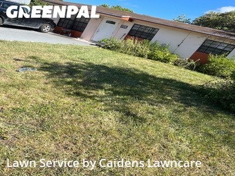 Lawn Mow nearby West Park, FL, 