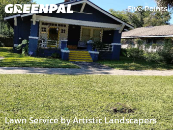 Grass Cut nearby Jacksonville, FL, 