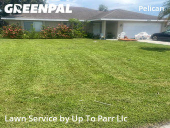 Grass Cut nearby Cape Coral, FL, 
