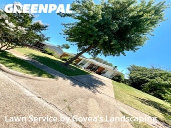 Grass Cutting nearby Mesquite, TX, 