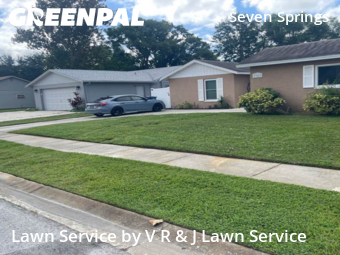 Yard Cutting nearby New Port Richey, FL, 