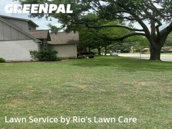 Grass Cut nearby Fort Worth, TX, 