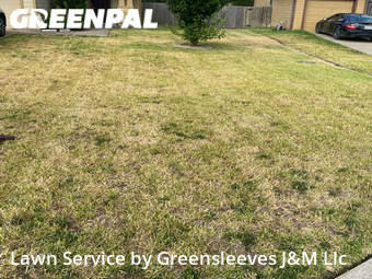 Yard Mowing nearby College Station, TX, 