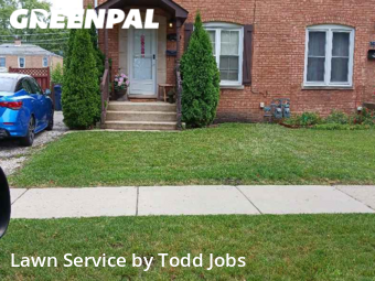 Grass Cut nearby Des Plaines, IL, 