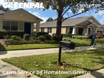 Lawn Care nearby Land O'lakes, FL, 
