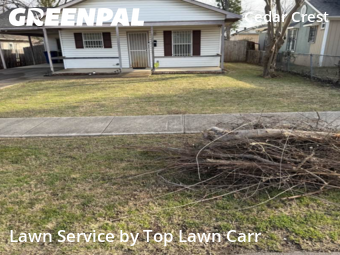 Grass Cutin Dallas,75216,Yard Mowing by Top Lawn Carr, work completed in Feb , 2026