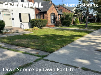 Yard Mowing nearby Detroit, MI, 