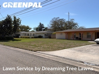 Yard Cutting nearby St. Petersburg, FL, 