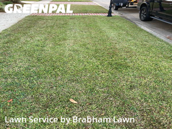 Lawn Cutting nearby Baton Rouge, LA, 