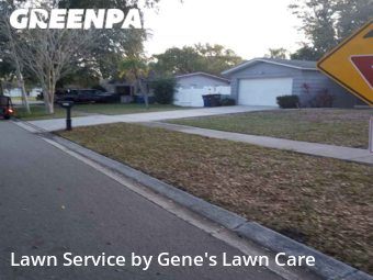 Grass Cut nearby Clearwater, FL, 