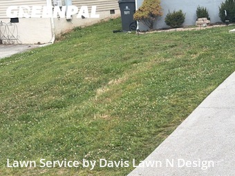 Lawn Cut nearby Knoxville, TN, 
