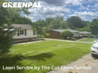 Lawn Mow nearby Roanoke, VA, 