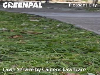 Landscaping Companies In West Palm Beach,33407,Landscape Design by Caidens Lawncare , work completed in Jun , 2026