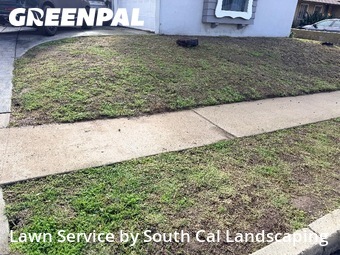 Work completed by affordable-grass-cutting-businesses-in-Lemon Grove-CA