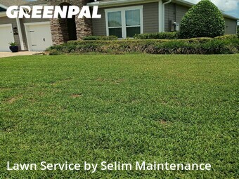 Lawn Cut nearby St. Augustine, FL, 