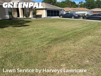 Lawn Mowing nearby Spring Hill, FL, 