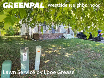 Grass Cut nearby Lansing, MI, 