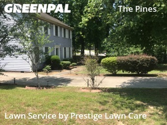 Lawn Mow nearby Greensboro, NC, 