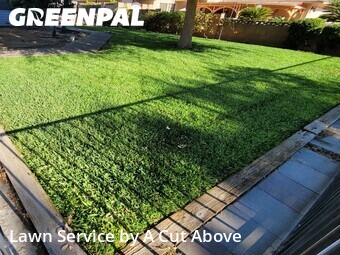 Grass Cutting nearby Tulare, CA, 