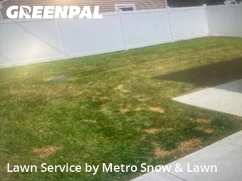 Lawn Mowing nearby St. Clair Shores, MI, 