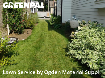 Lawn Cut nearby Elmhurst, IL, 