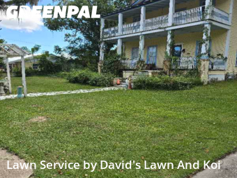 Yard Grooming in Leesburg, 34748, Front Yard Mowing by David's Lawn And Koi, work completed in Dec , 2025