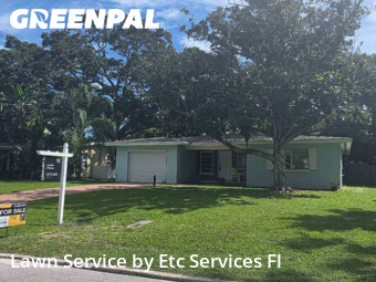 Lawn Maintenancein Dunedin,34698,Lawn Service by Etc Services Fl, work completed in Feb , 2026