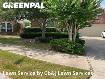 Lawn Cutting nearby Richmond, TX, 
