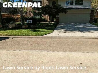 Lawn Cut nearby Spring, TX, 