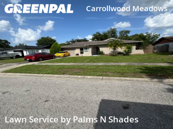 Lawn Service nearby Tampa, FL, 