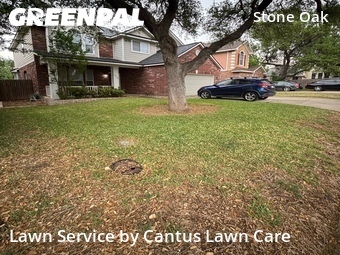 Lawn Cut nearby San Antonio, TX, 
