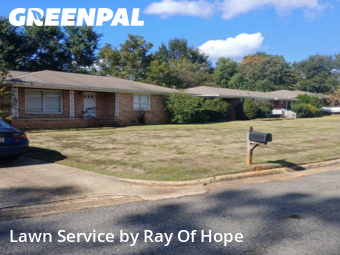 Lawn Cut nearby Tuscaloosa, AL, 