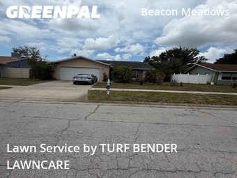 Lawn Care Service nearby Tampa, FL, 