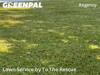 Lawn Care Service nearby Jacksonville, FL, 