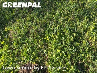 Lawn Mowingin Hendersonville,37075,Lawn Mow by Etc Services, work completed in Jan , 2026