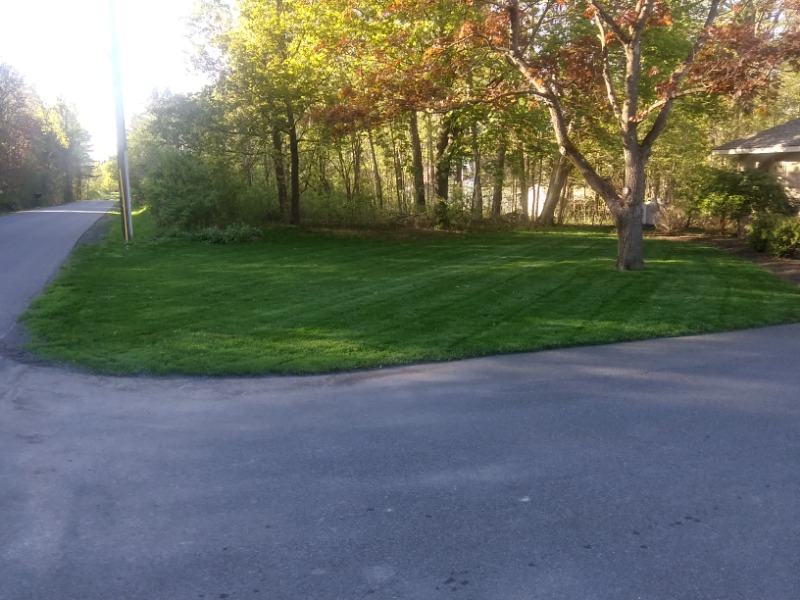 local-lawn-maintenance-contractors-in-Ramapo-NY
