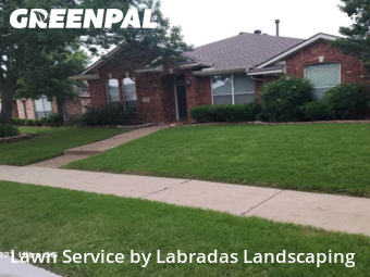 Lawn Maintenance nearby Plano, TX, 