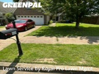 Grass Cutting nearby Olive Branch, MS, 