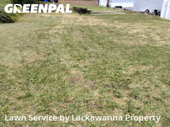 Grass Cutting nearby Scranton, PA, 