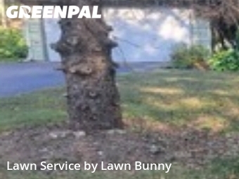 Lawn Service nearby Burnsville, MN, 