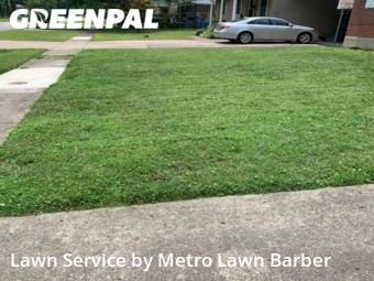 Grass Cut nearby Louisville, KY, 